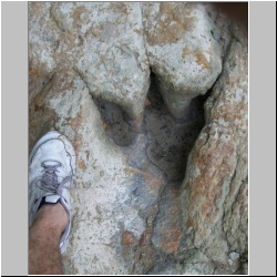 100_0680 (2009-27-07)cr.jpg